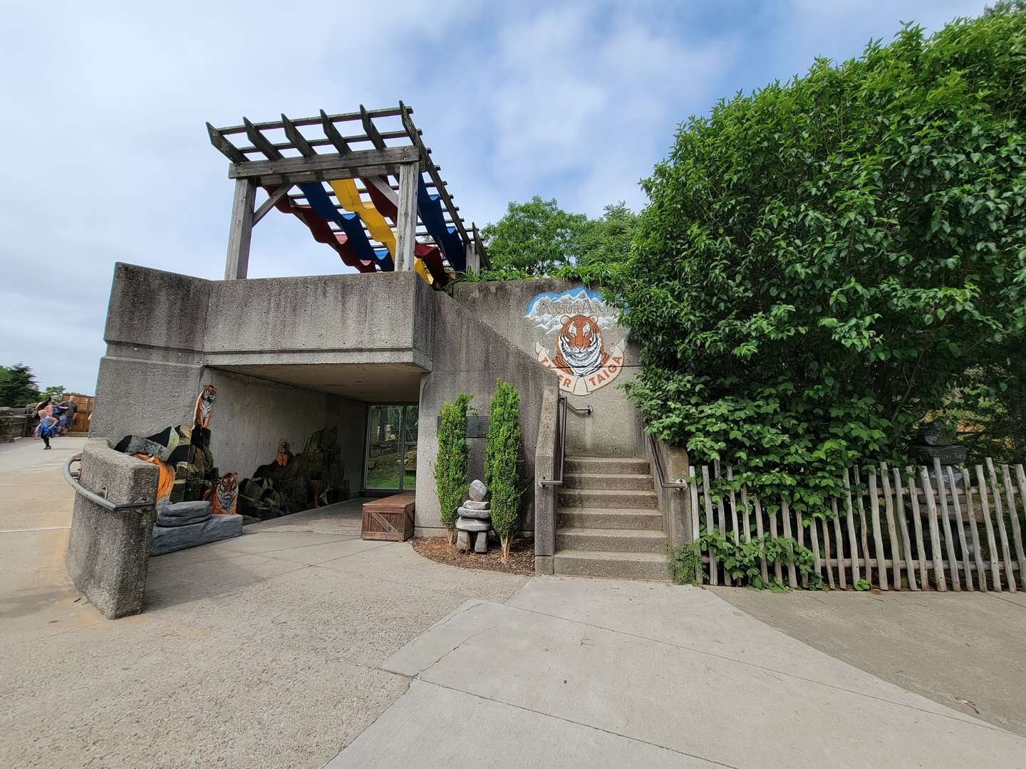 Louisville 5/22 - Tiger Taiga