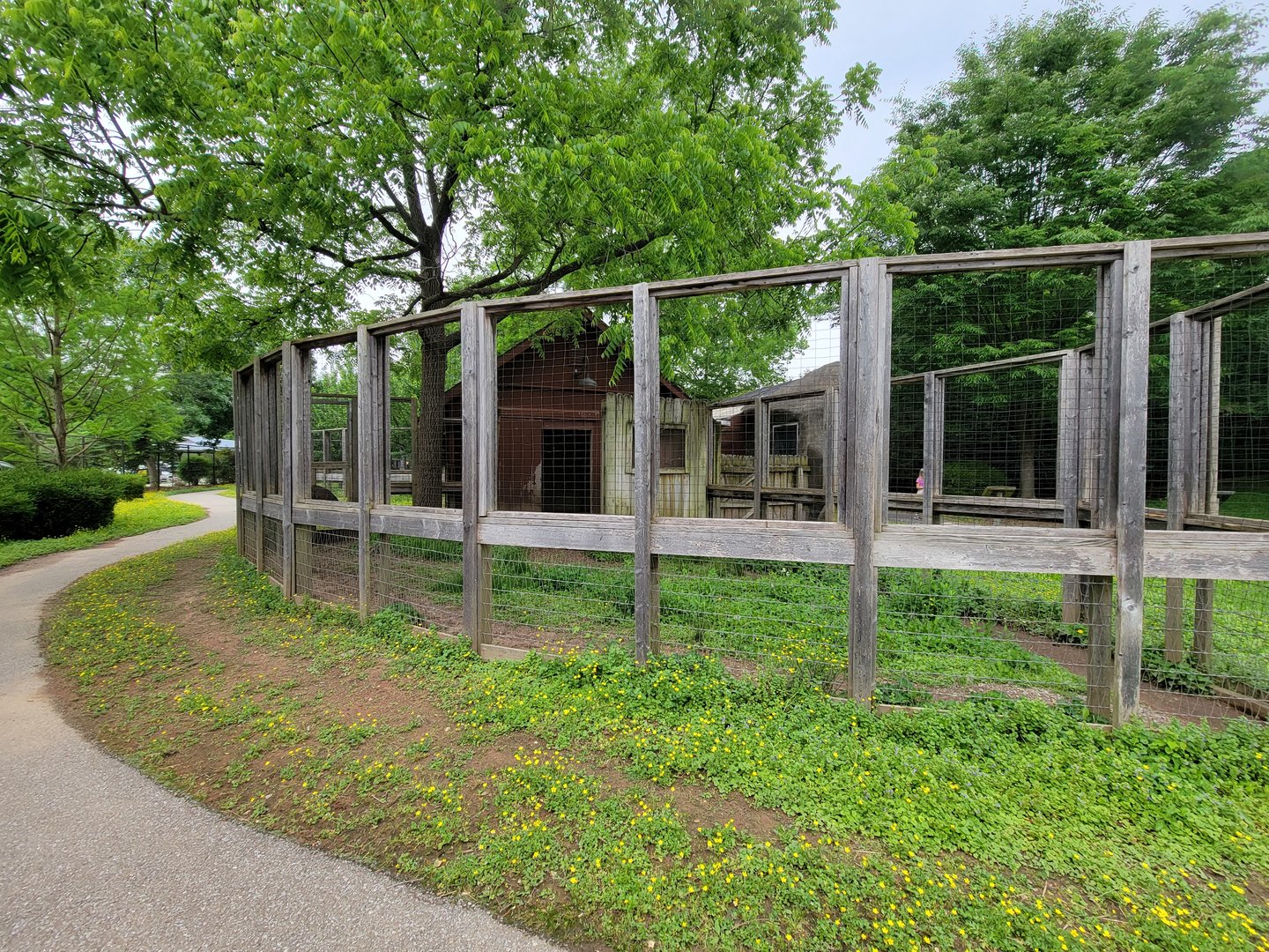Louisville 5/22 - Wallaroo Walkabout, emu enclosure