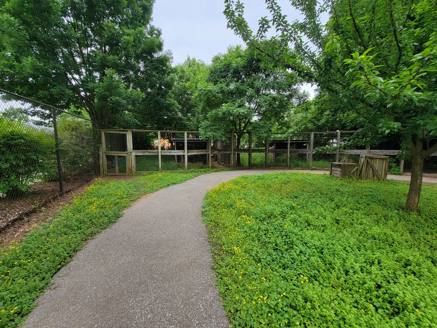 Louisville 5/22 - Wallaroo Walkabout path, more emus