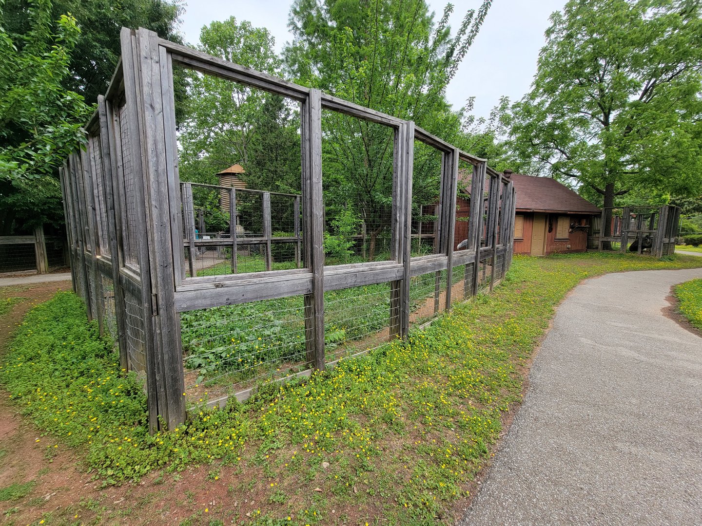 Louisville 5/22 - Wallaroo Walkabout, unsigned crane enclosure