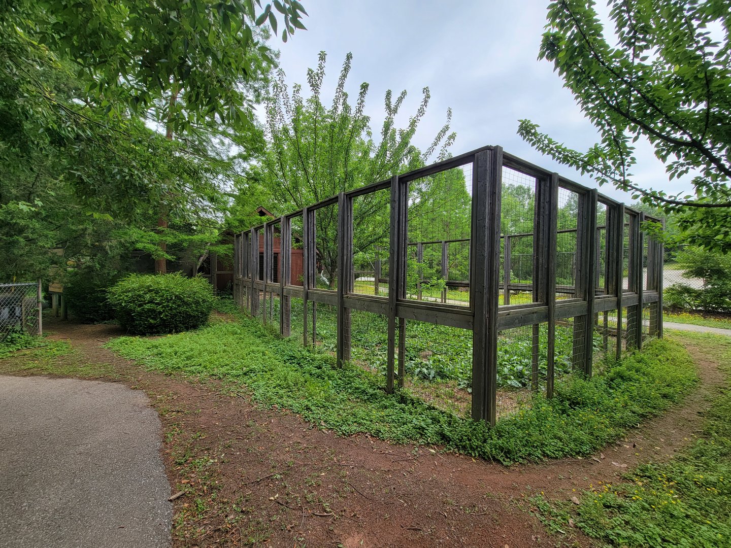 Louisville 5/22 - Wallaroo Walkabout, unsigned crane