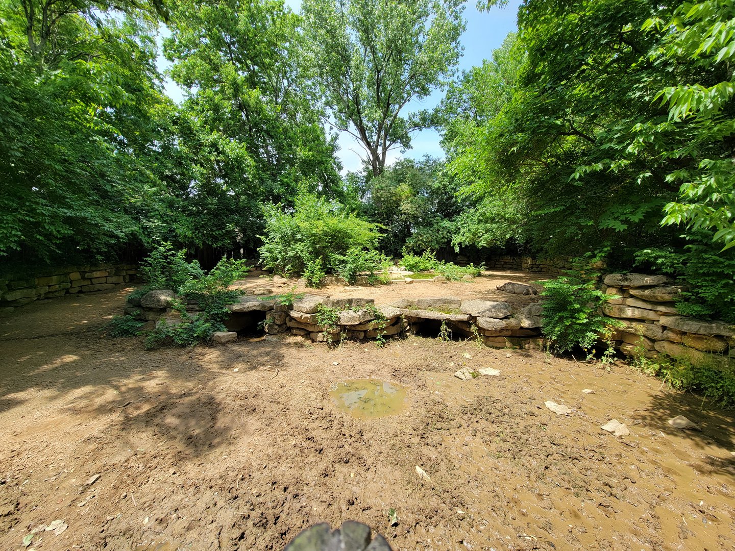 Louisville 5/22 - Warthogs