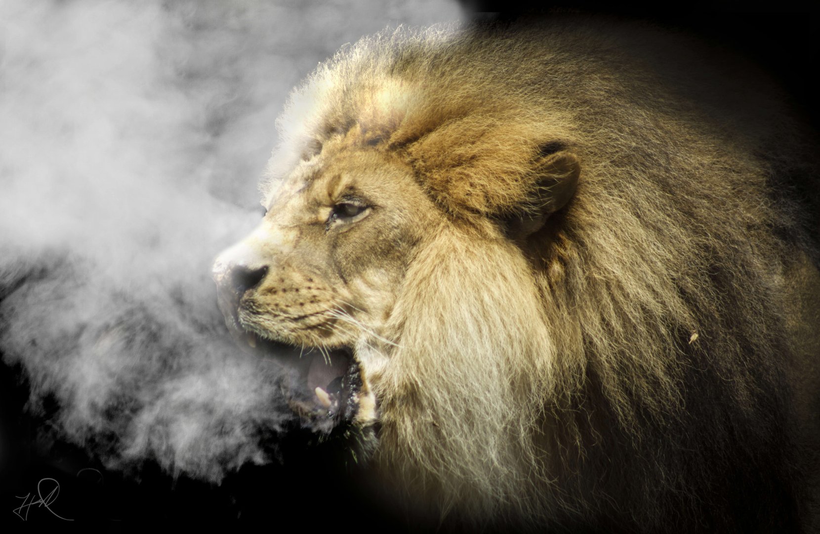 Louisville Zoo - Kenya