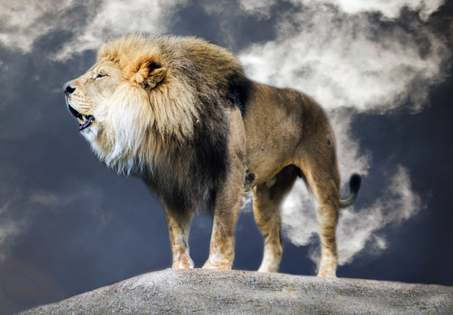 Louisville Zoo - Kenya