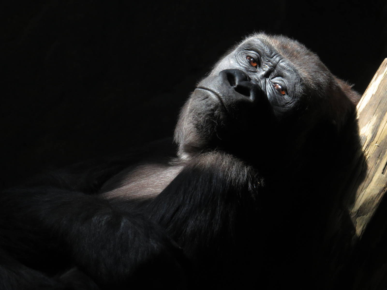 Lounging in the sun 2 lol.