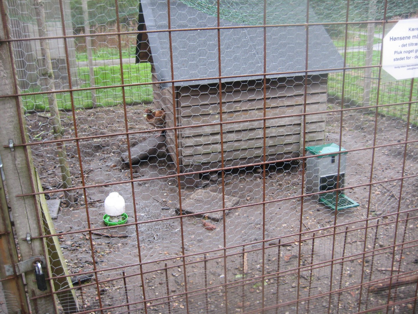 Løvbakke Dyrehave - Chicken coop
