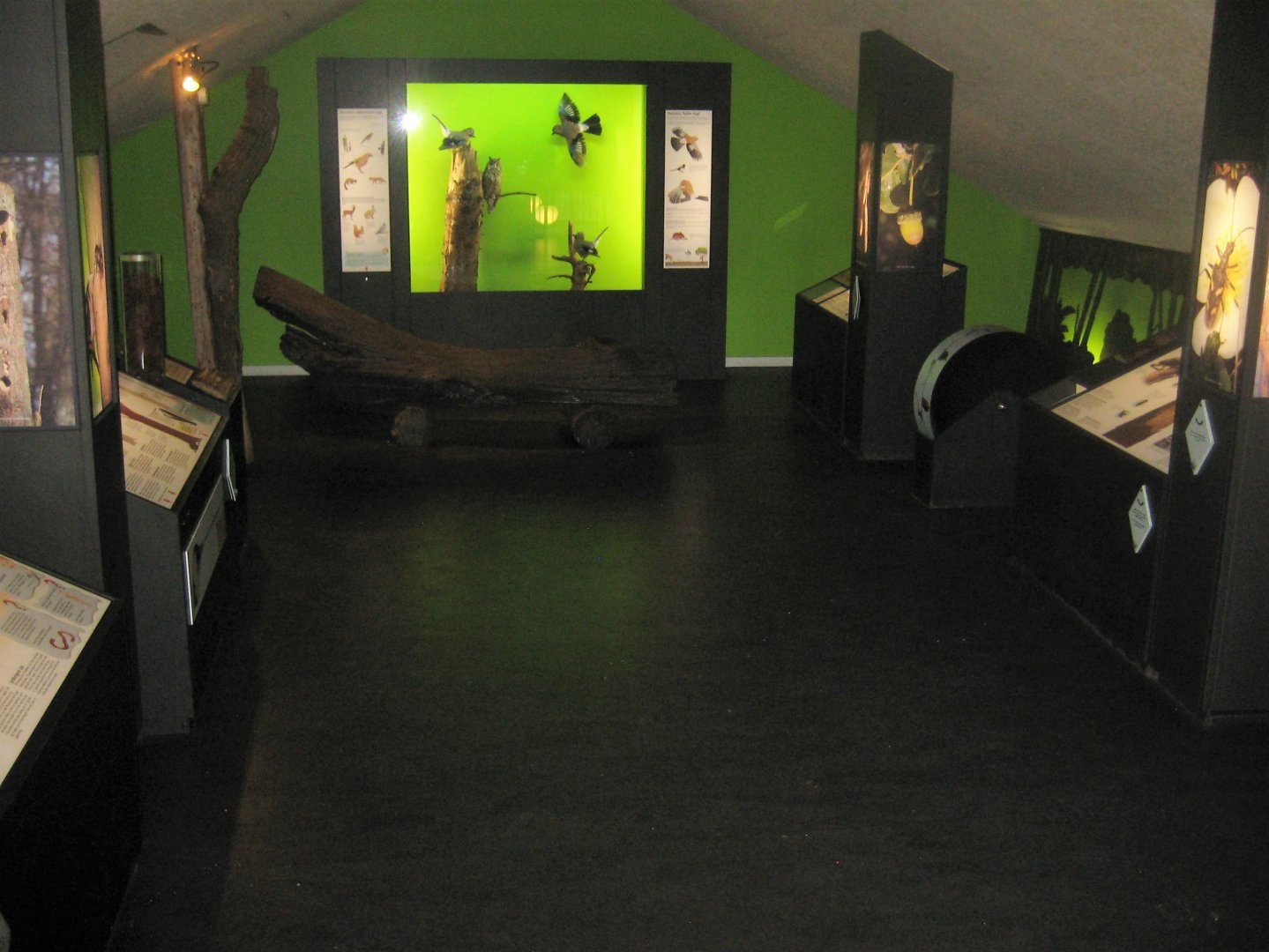 Løvbakke Dyrehave - Exhibition