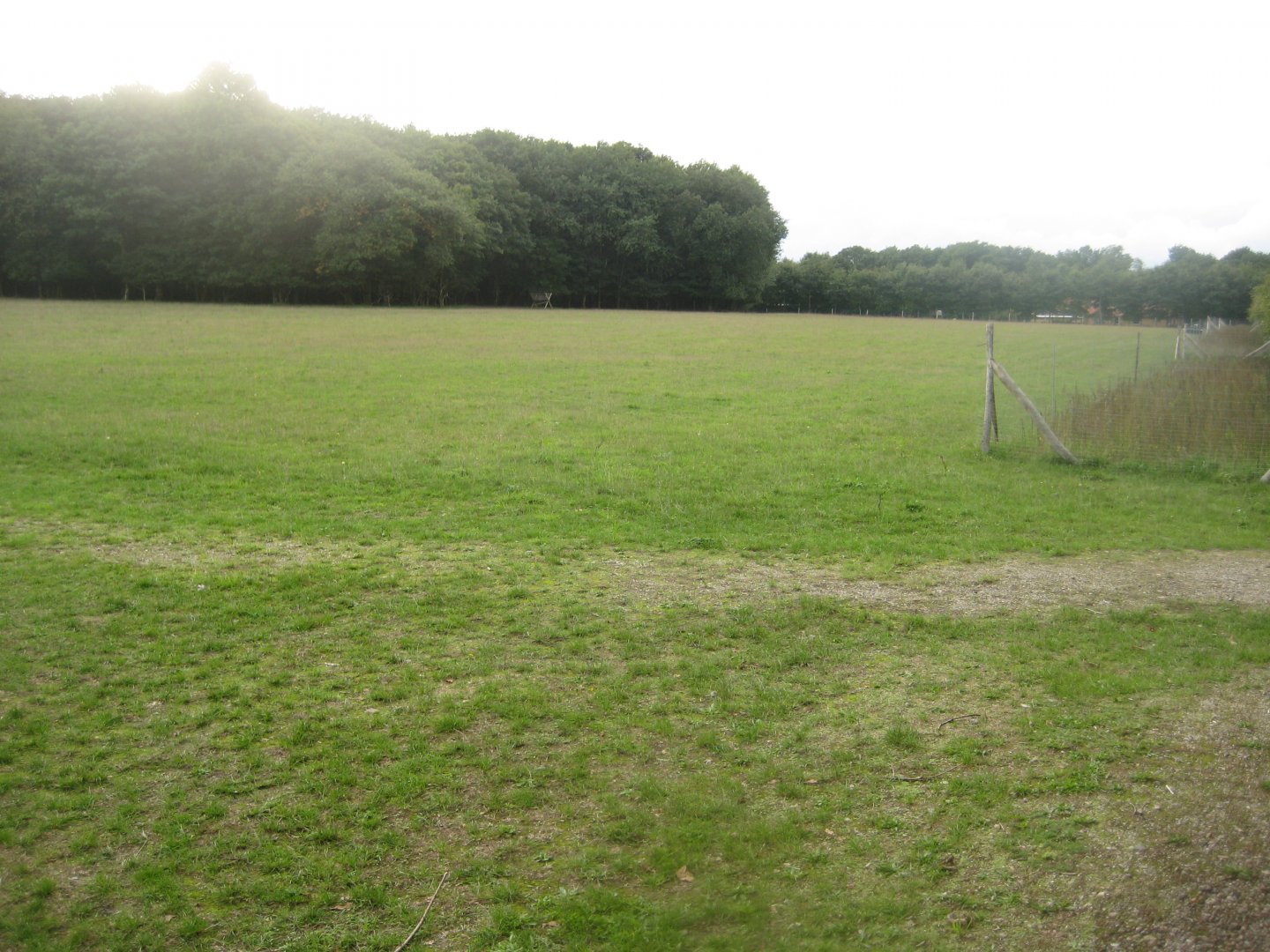 Løvbakke Dyrehave - "Marken"