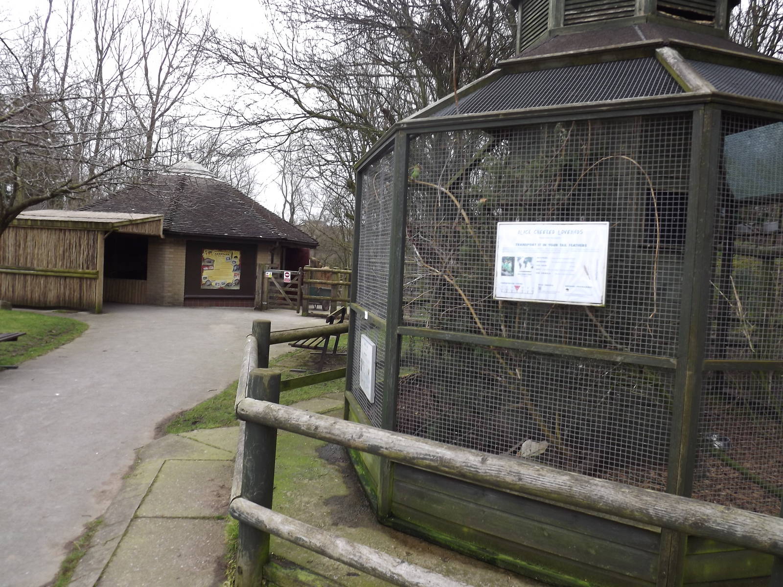 Lovebird and Aardvark exhibit at Blackpool Zoo 26/02/12