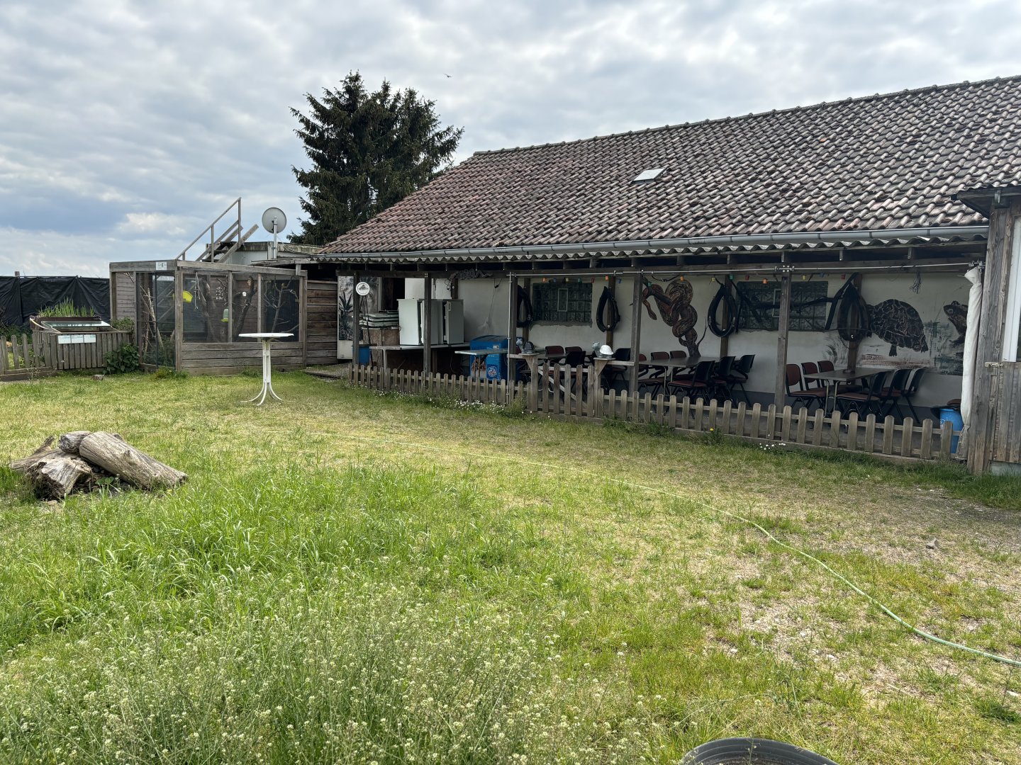 Lovebird aviary and closed off Guest Seating Area at Schildkröten und Reptilien Zoo Neu-Ulm