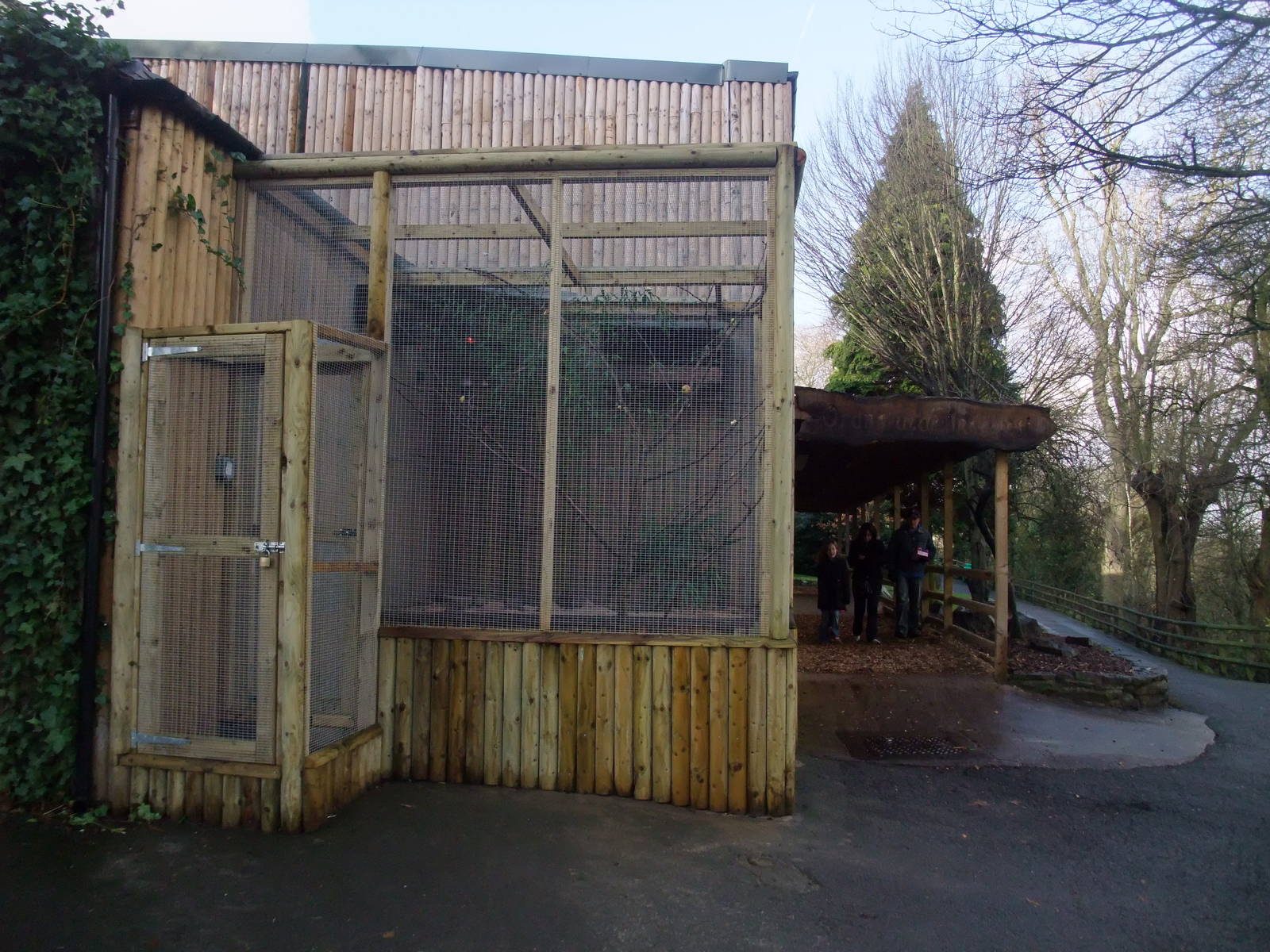 Lovebird Aviary at Dudley, 18/12/11