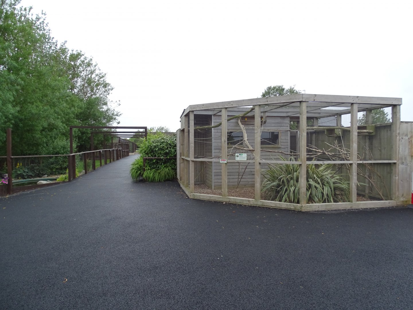 Lovebird aviary, the first exhibit seen on entry, 7th July 2024