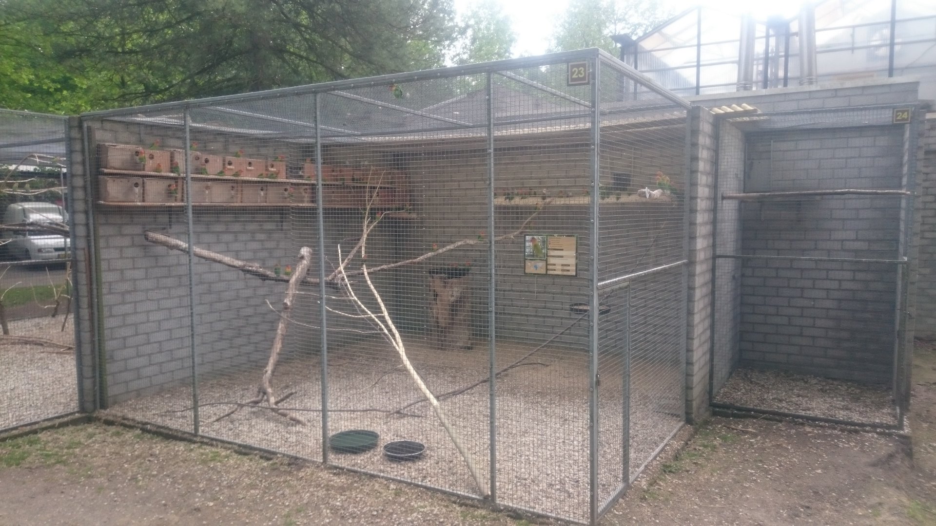Lovebird-aviary