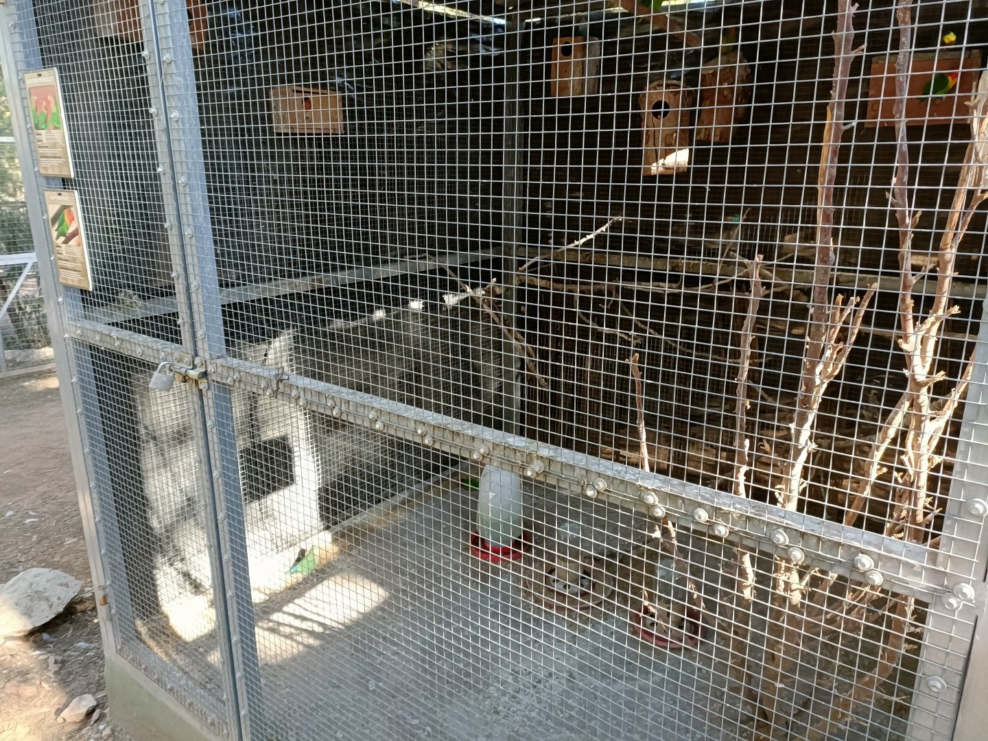 Lovebird exhibit - Bioparque La Rocha