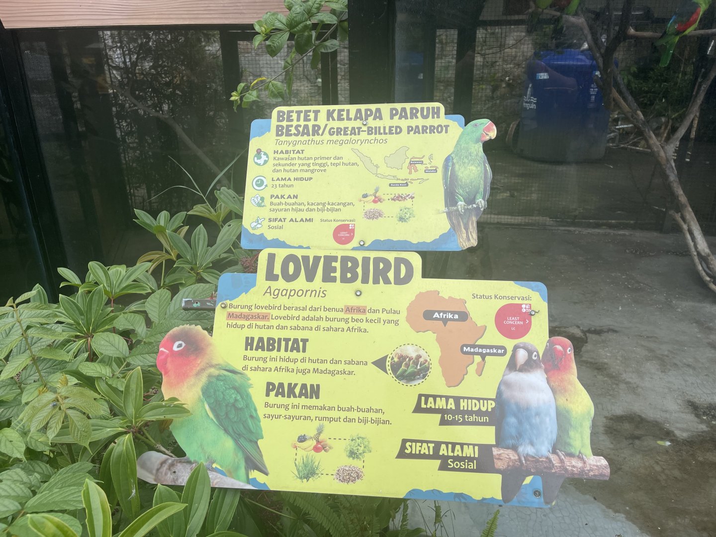lovebird & great-billed parrot signage