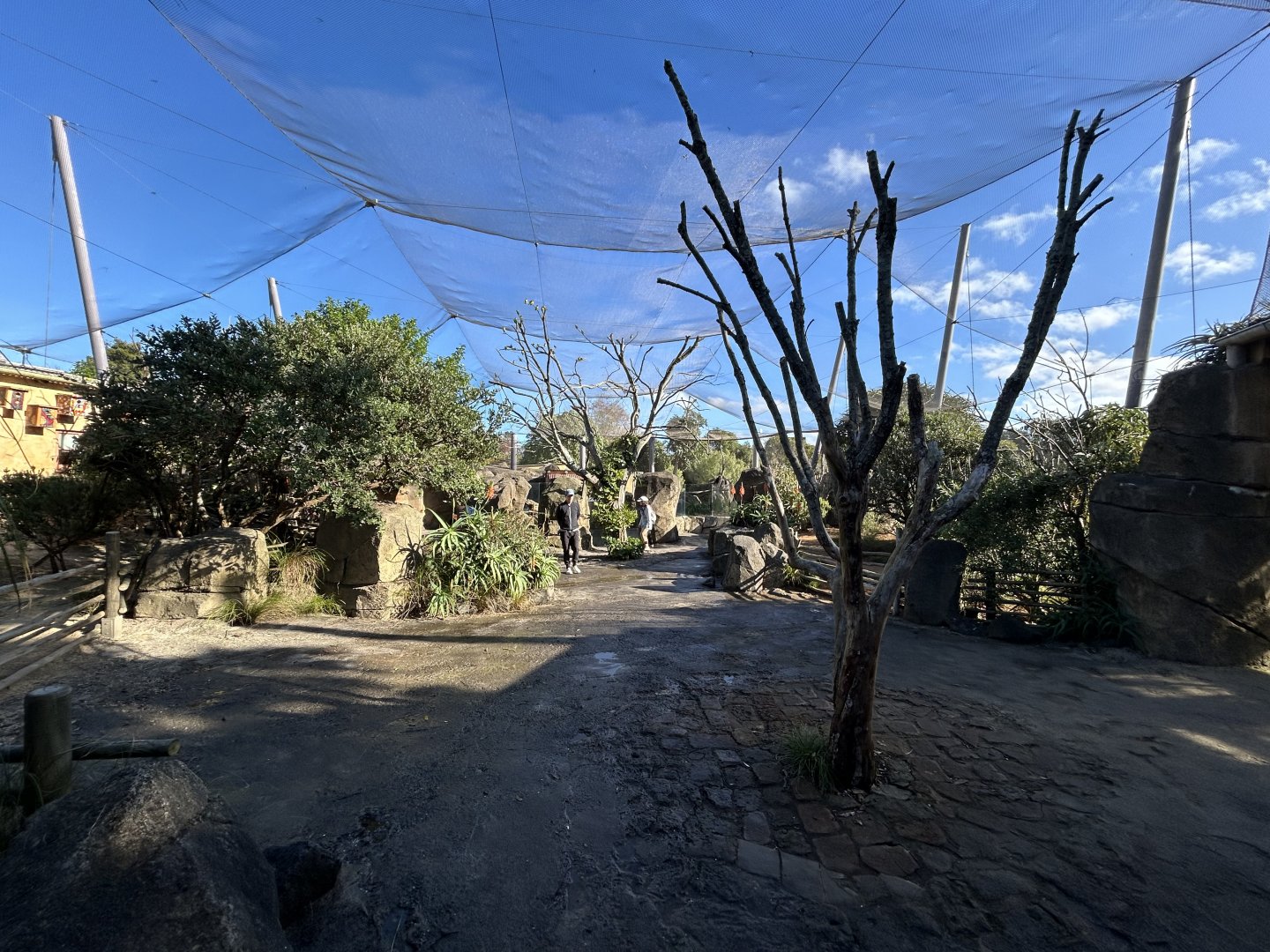 Lovebird/Meerkat Aviary Complex - African Safari Track