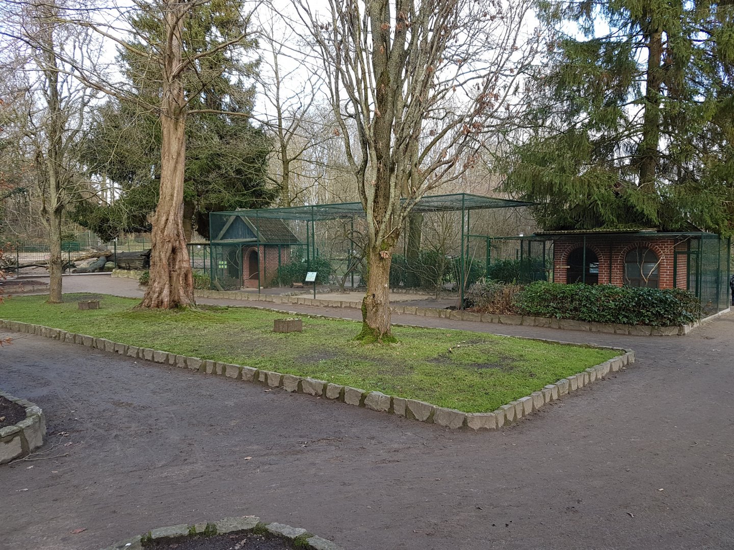 Lovebird - pheasant aviary