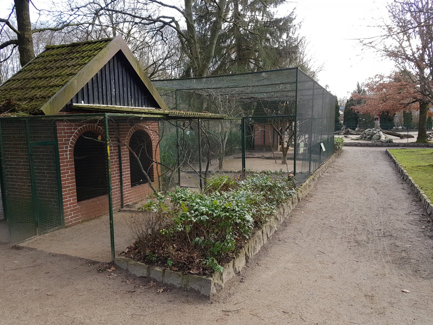 Lovebird - pheasant aviary