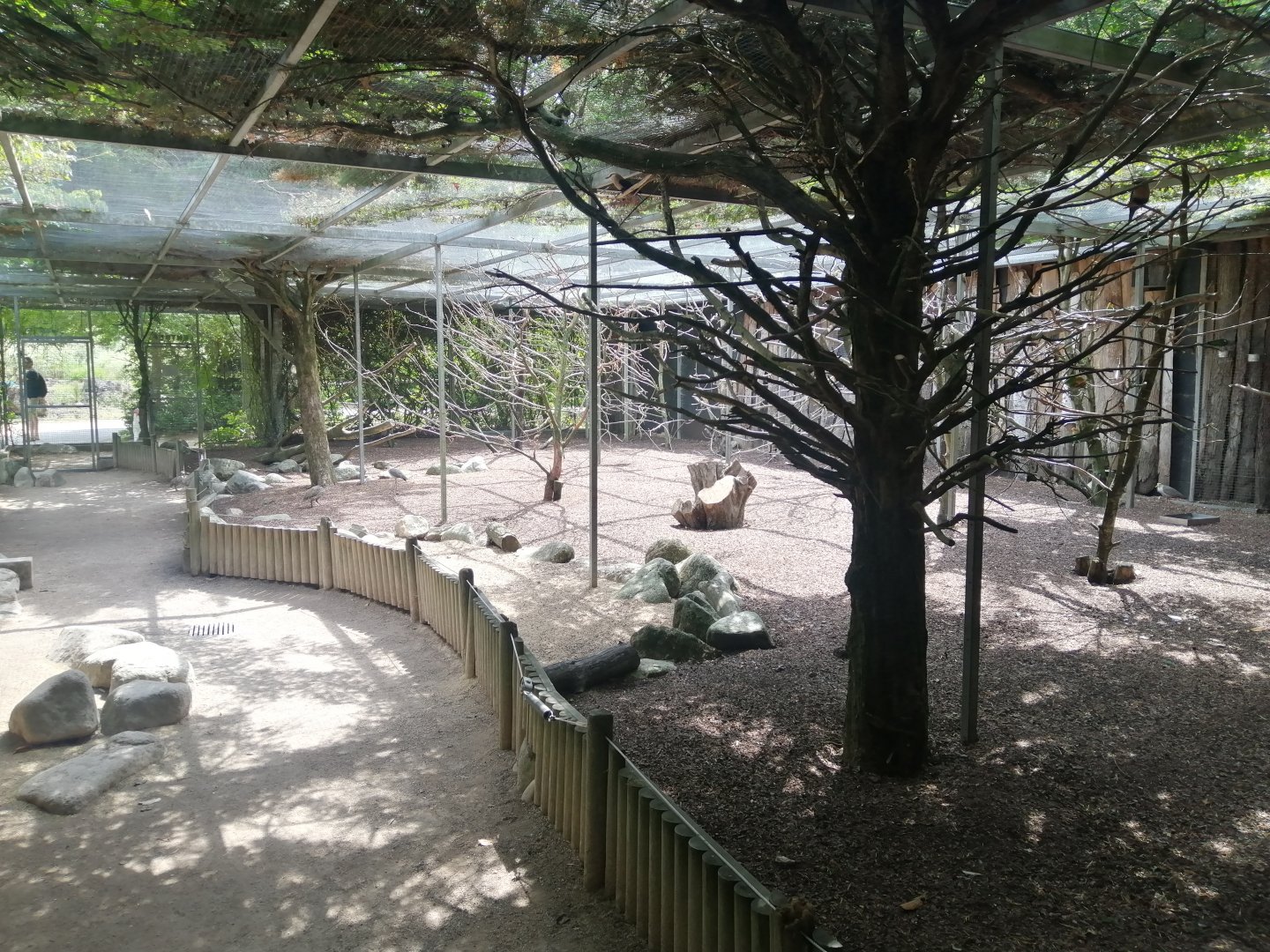 Lovebird's walkthrough Aviary