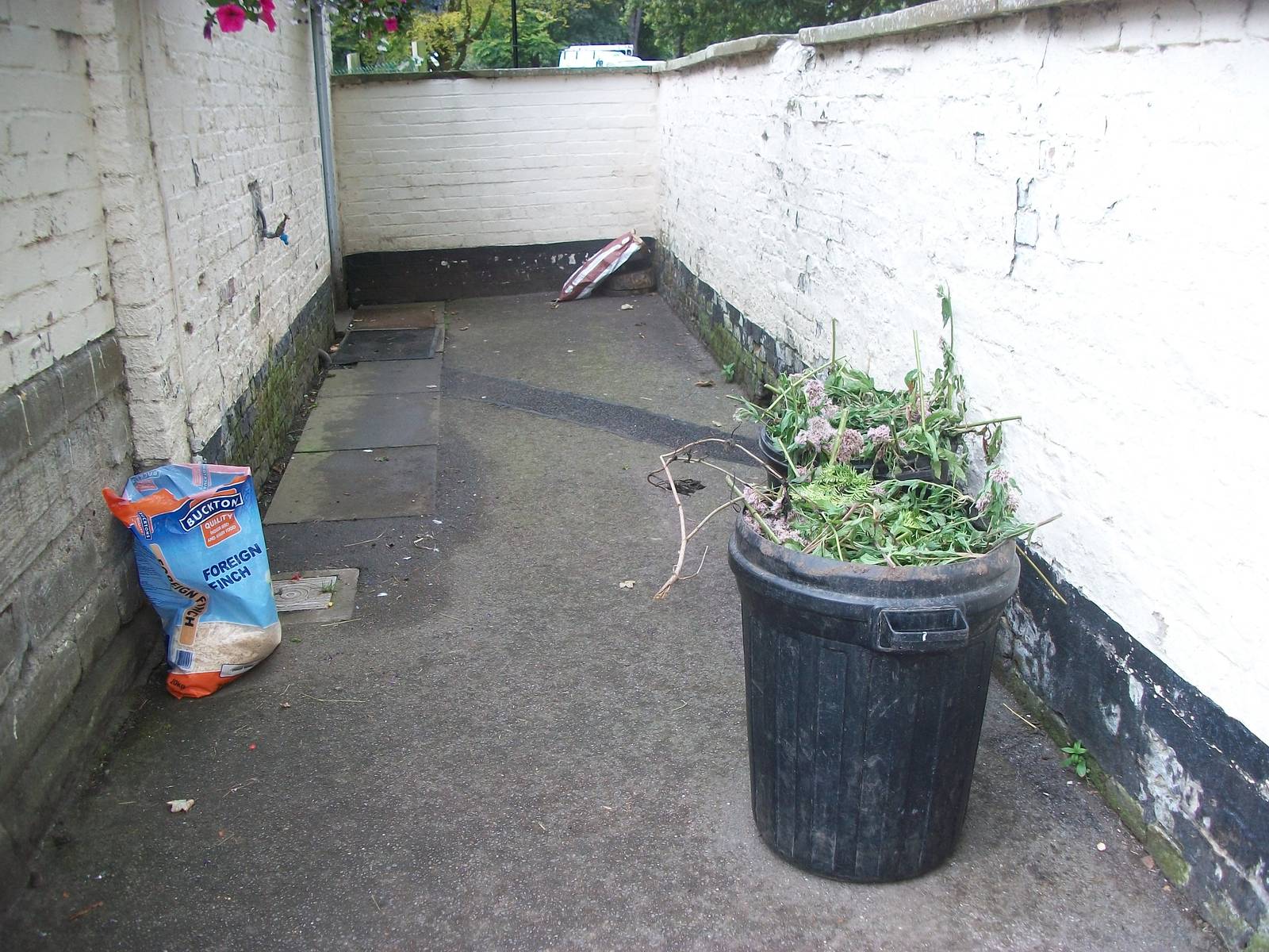 Lovely and tidy outside the zoo kitchen, 8th August 2014
