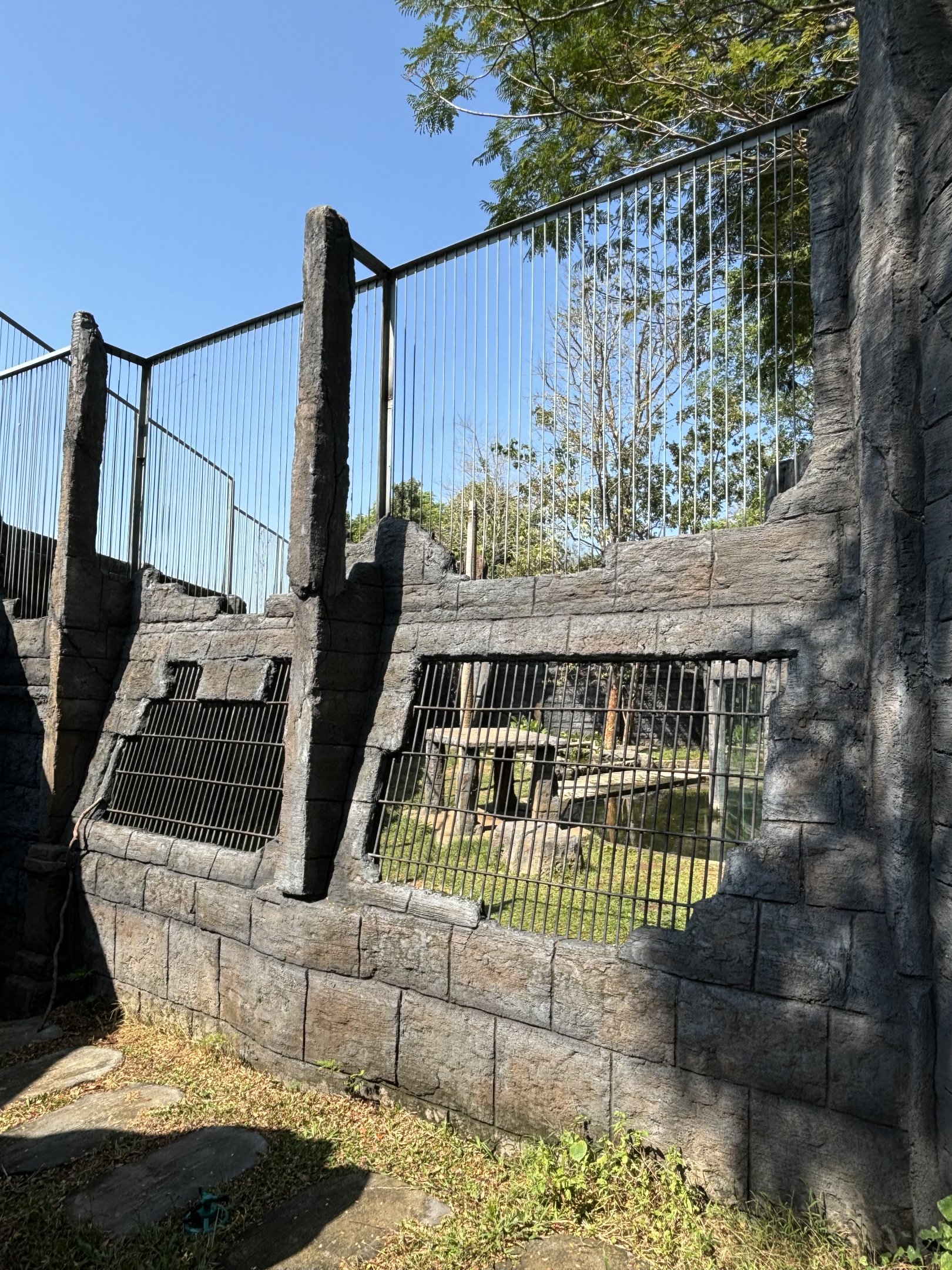 Low Fence! Tiger Exhibit - Solo Safari