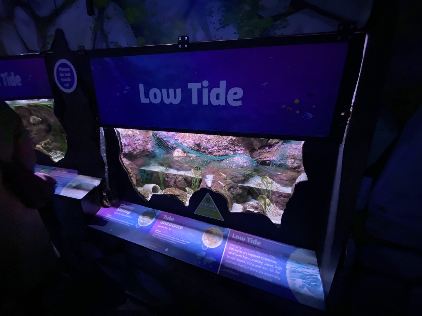 Low Tide exhibit 070123