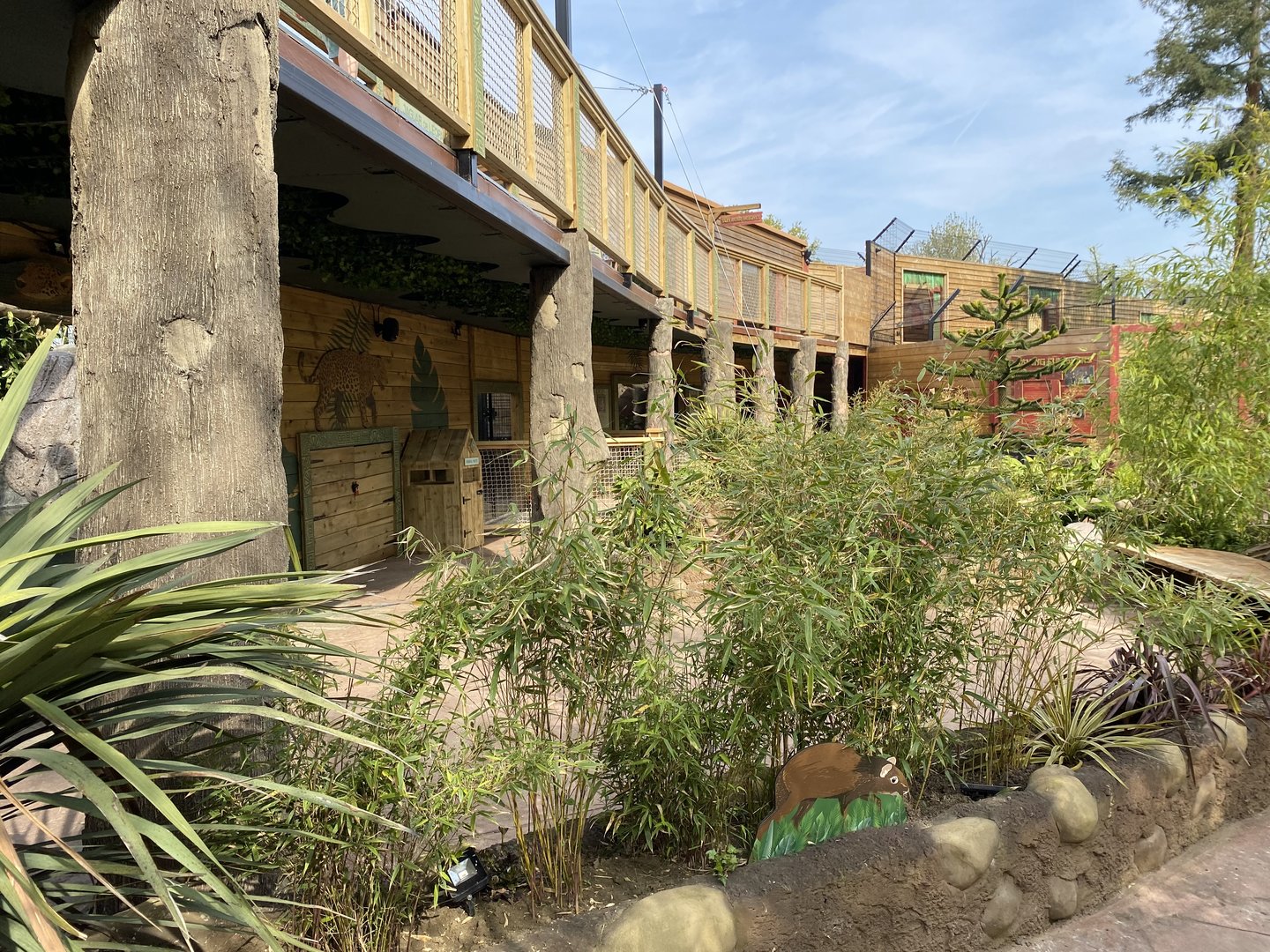 Lower area jaguar house PWP