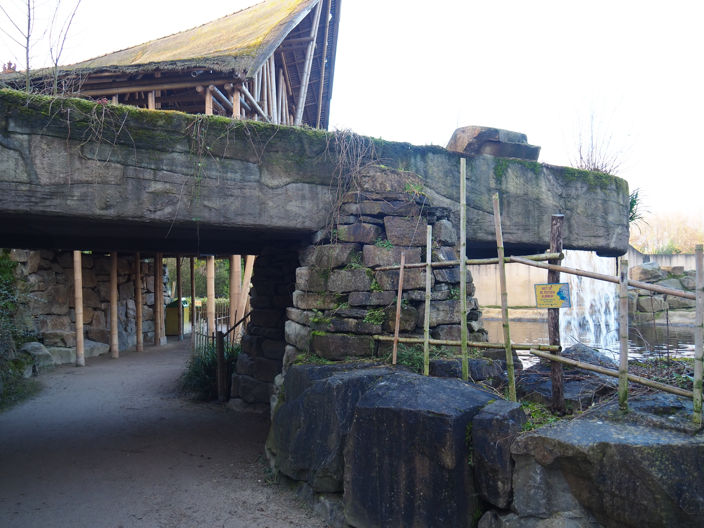 Lower Asian elephant viewing area, 2022-01-30