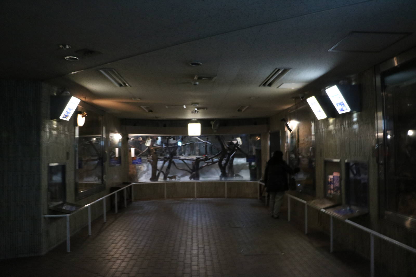 Lower floor of the small mammal house, February 2016