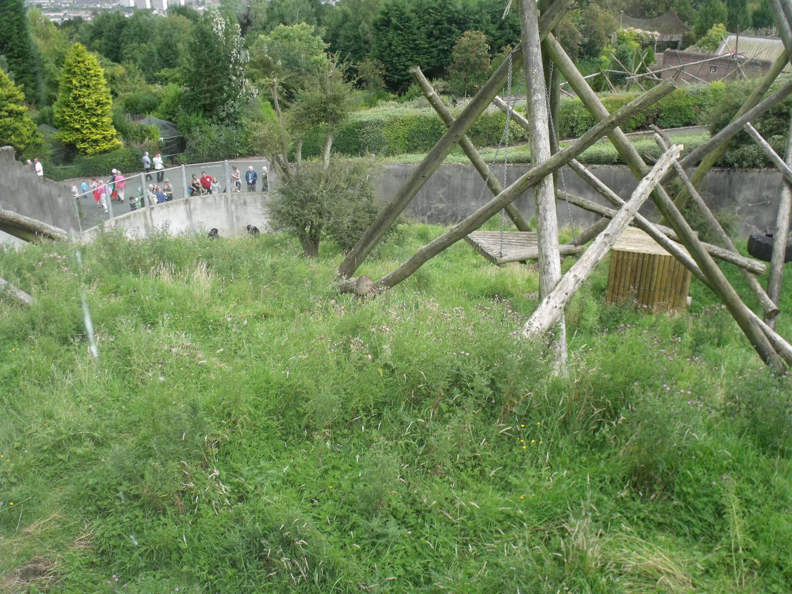 Lower half of Chimp enclosure