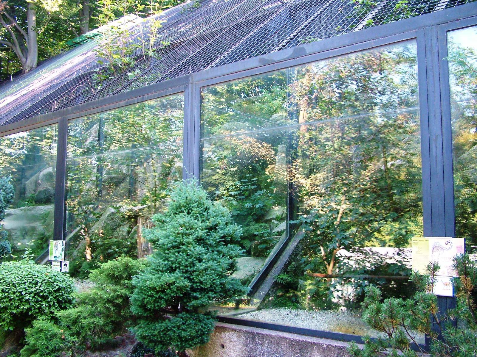 Lower Leopard Enclosures at Liberec, 28/08/12