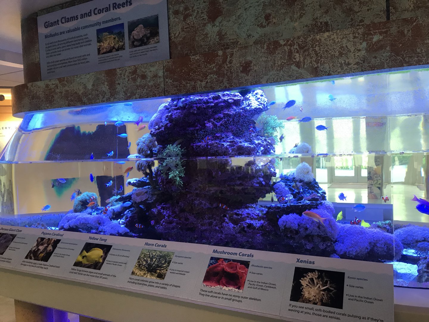 Lower Level - Entrance Tank