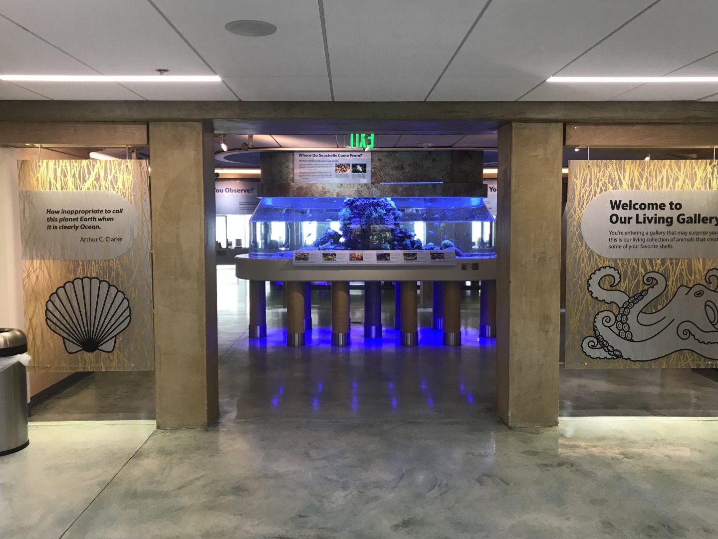 Lower Level - Entrance