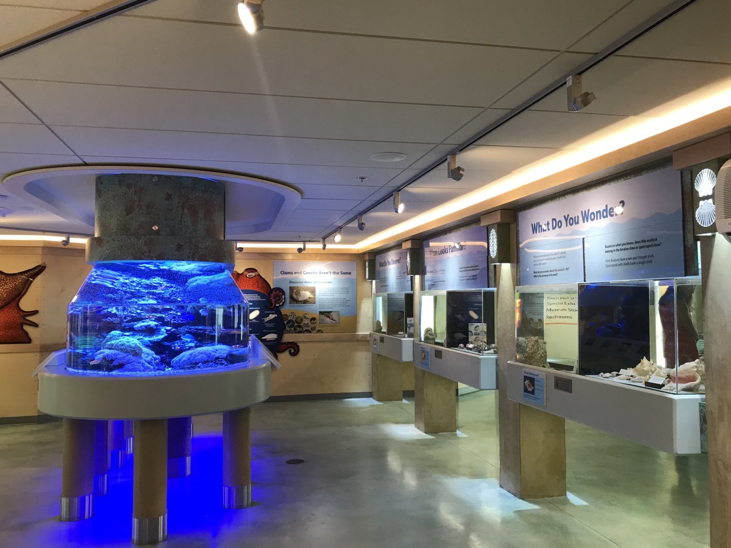 Lower Level - Entrance