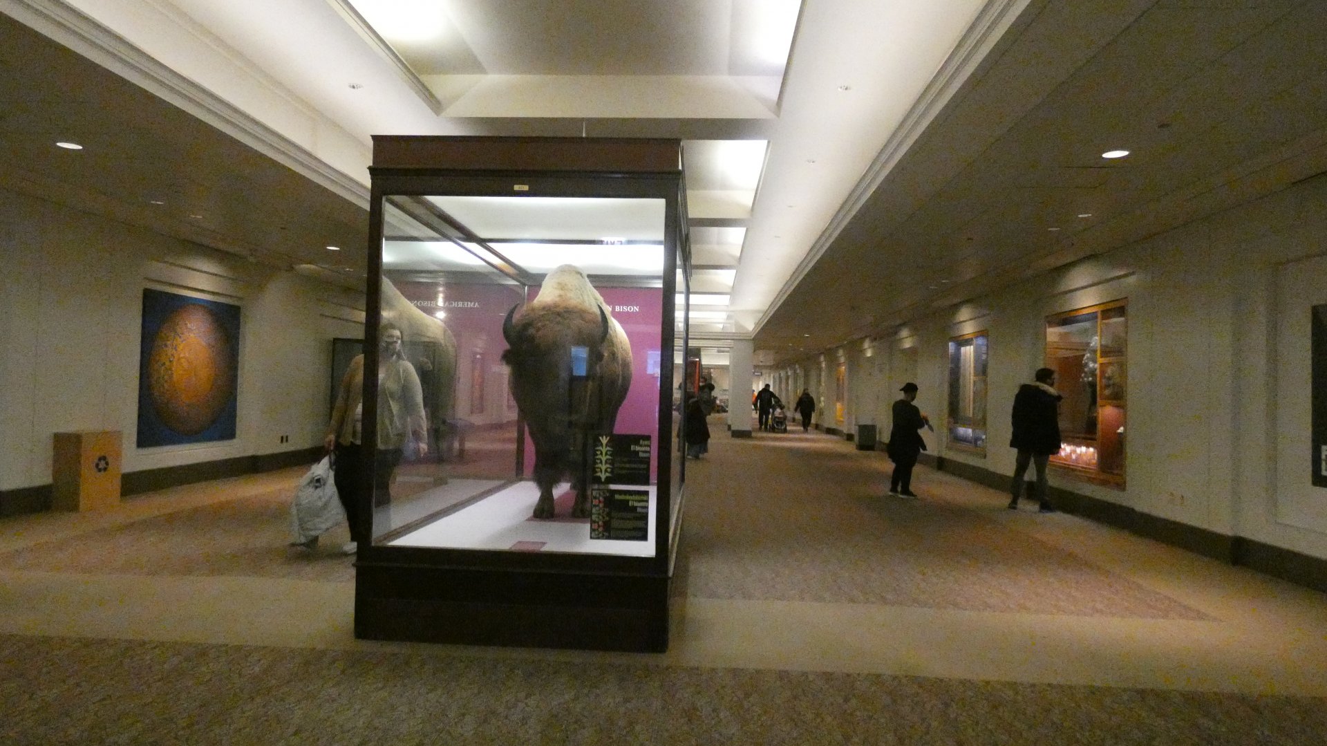 Lower Level Hallway - Feb. 2022