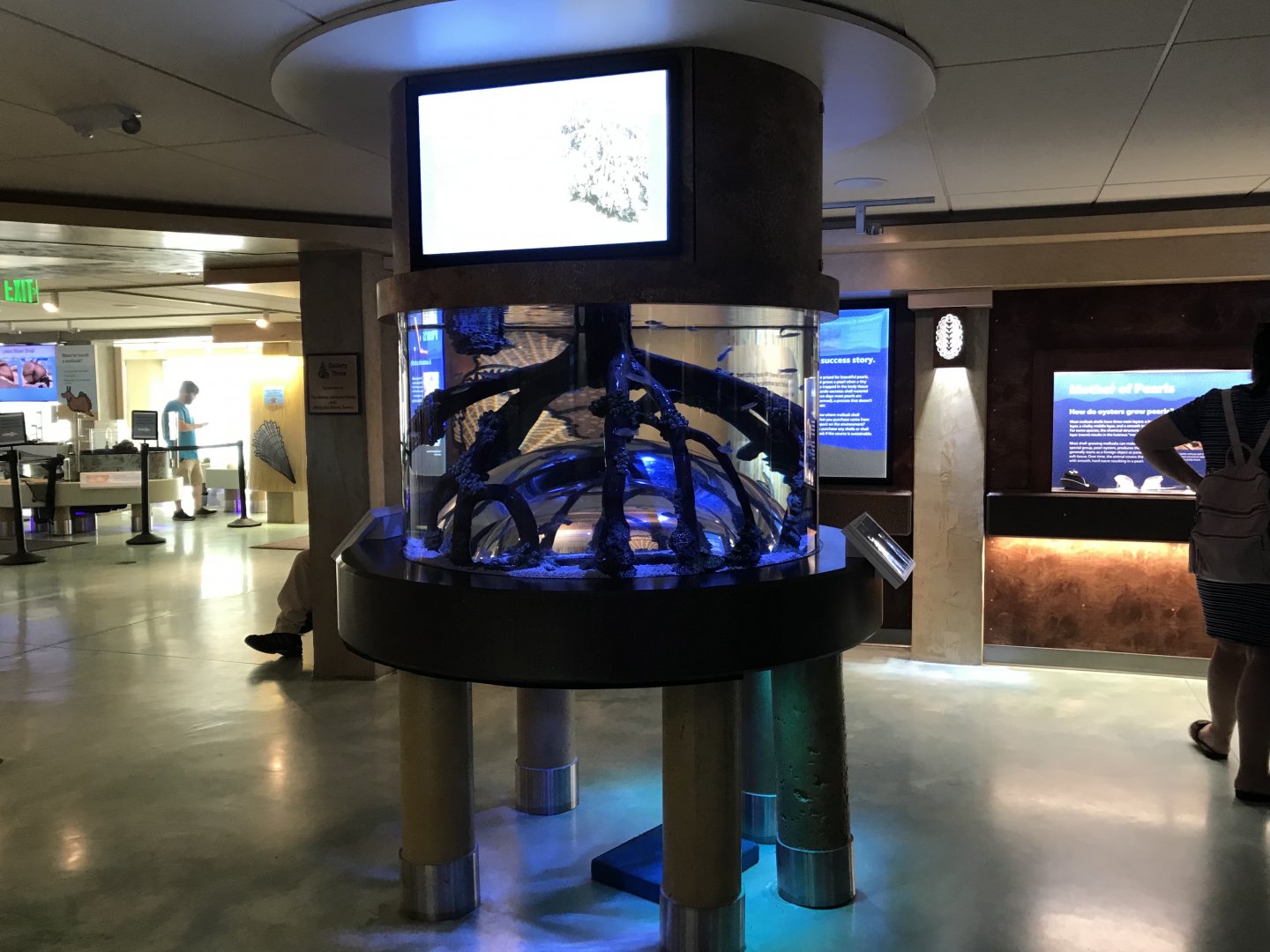 Lower Level - Mangrove Tank