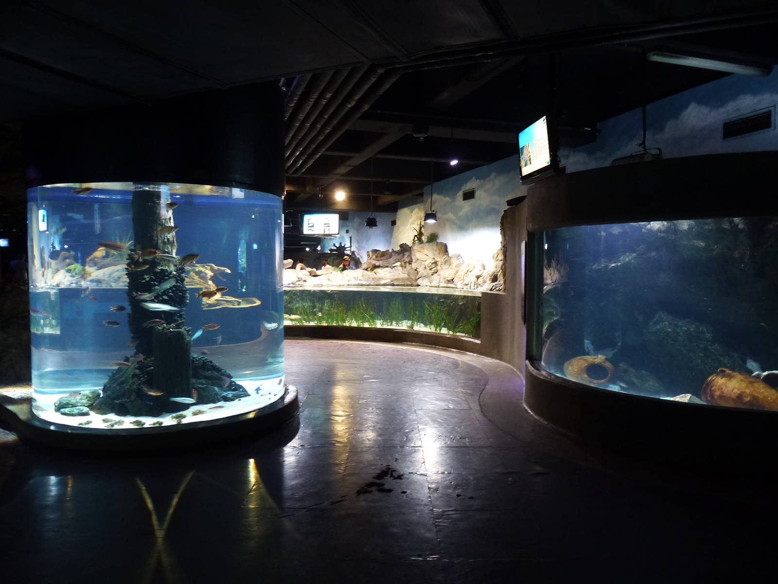 Lower level tanks, June 2013.