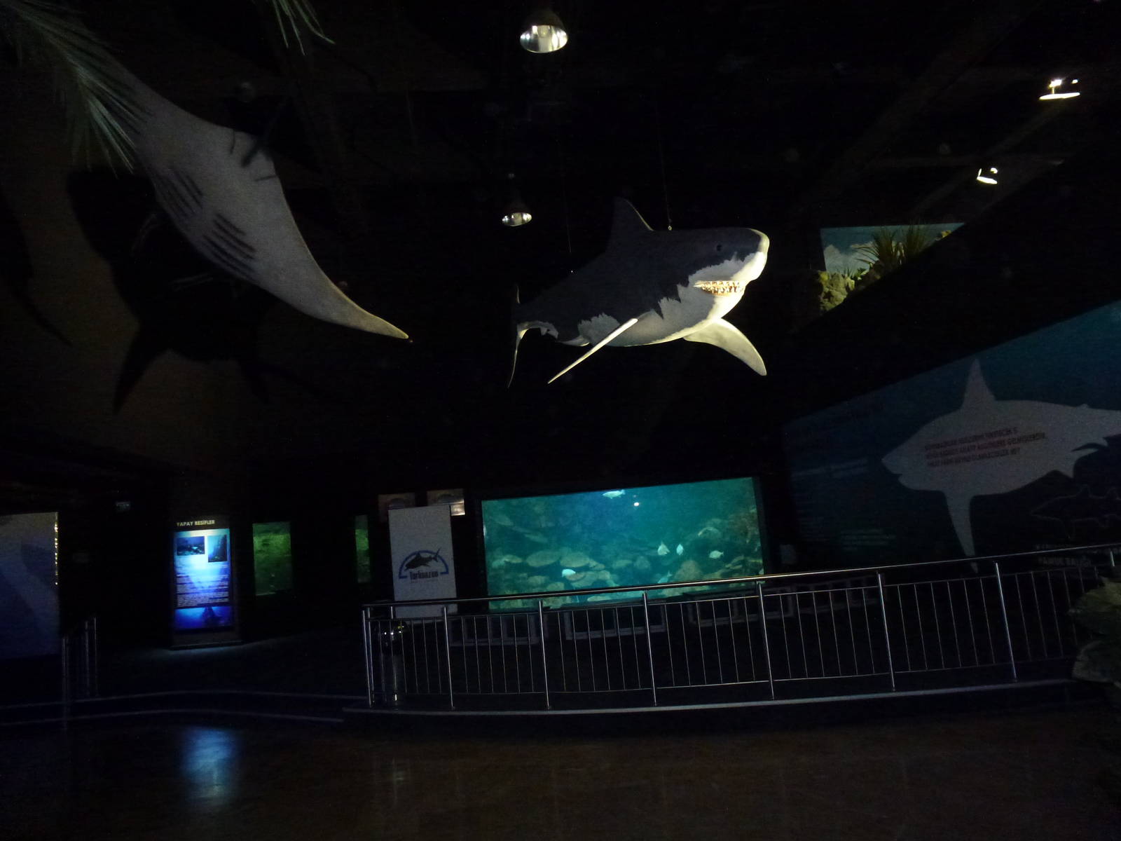 Lower level viewing, June 2013.