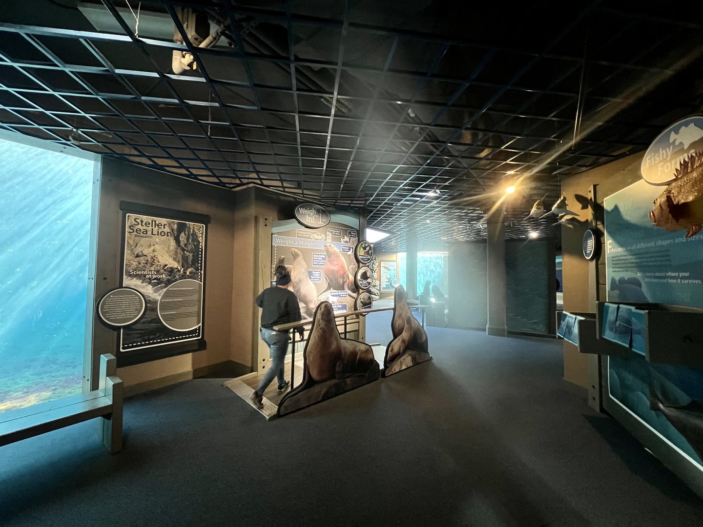 Lower level viewing windows