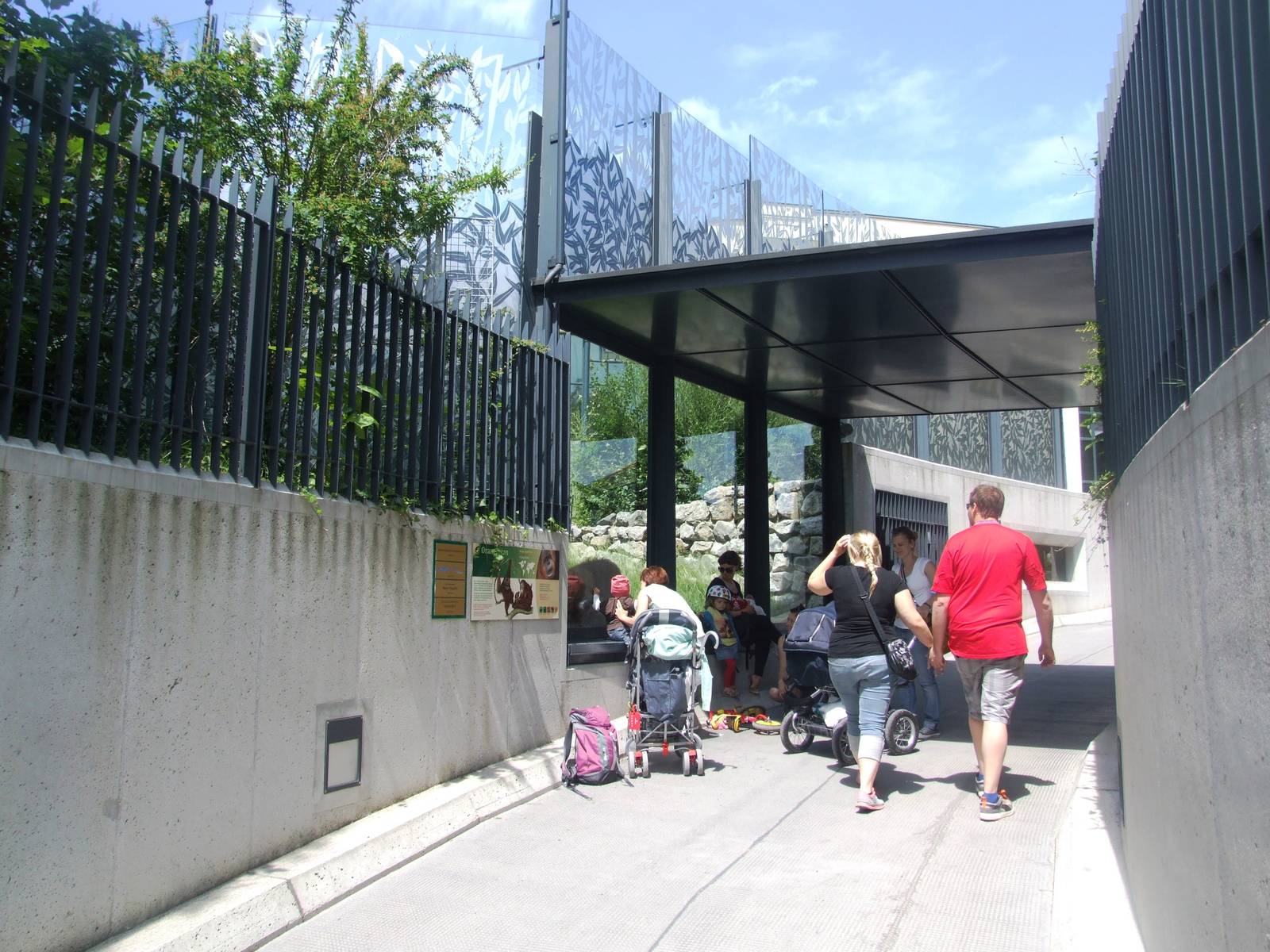 Lower Orang Viewing at Vienna, 14/06/13