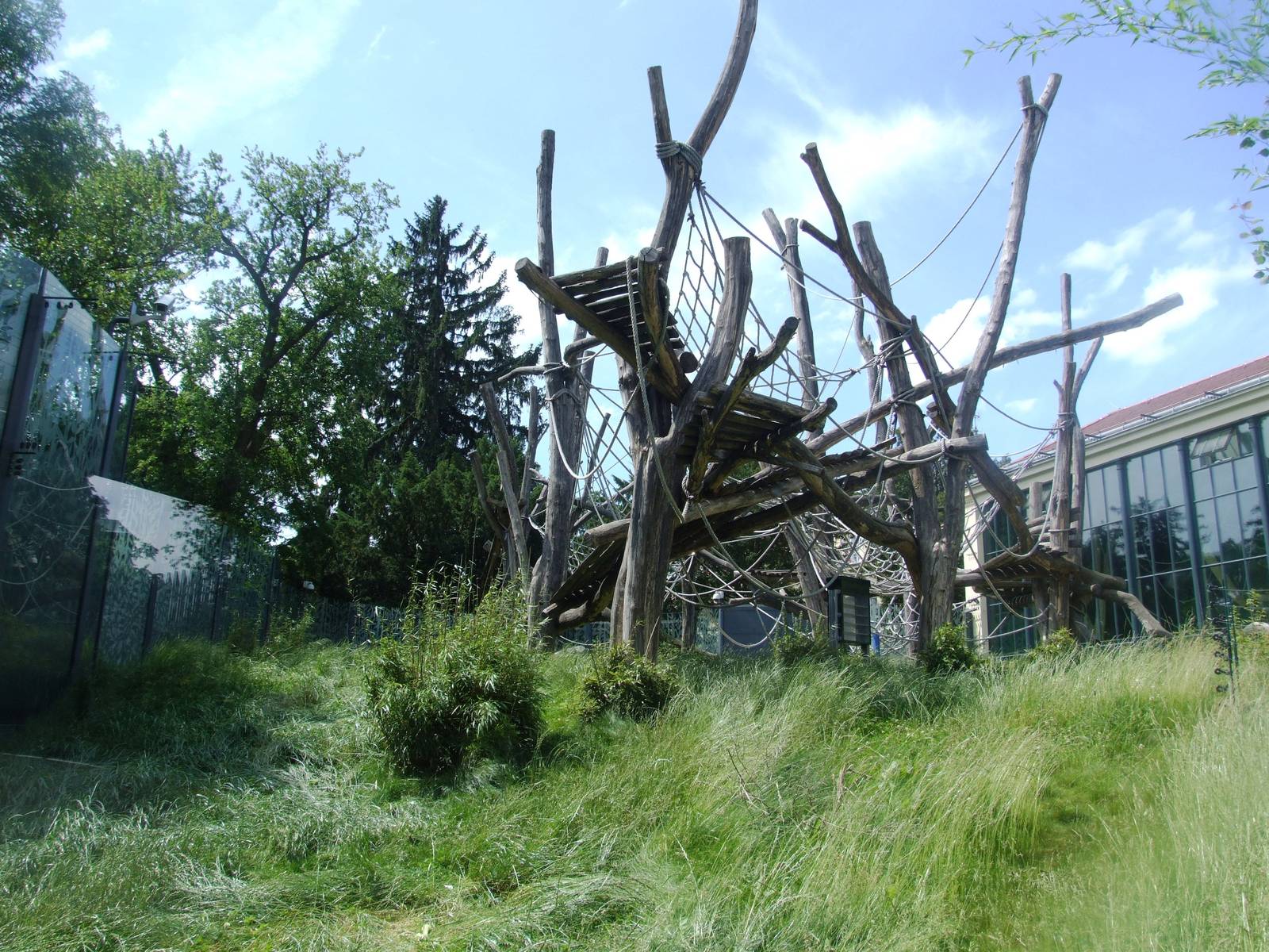 Lower Orang Viewing at Vienna, 14/06/13