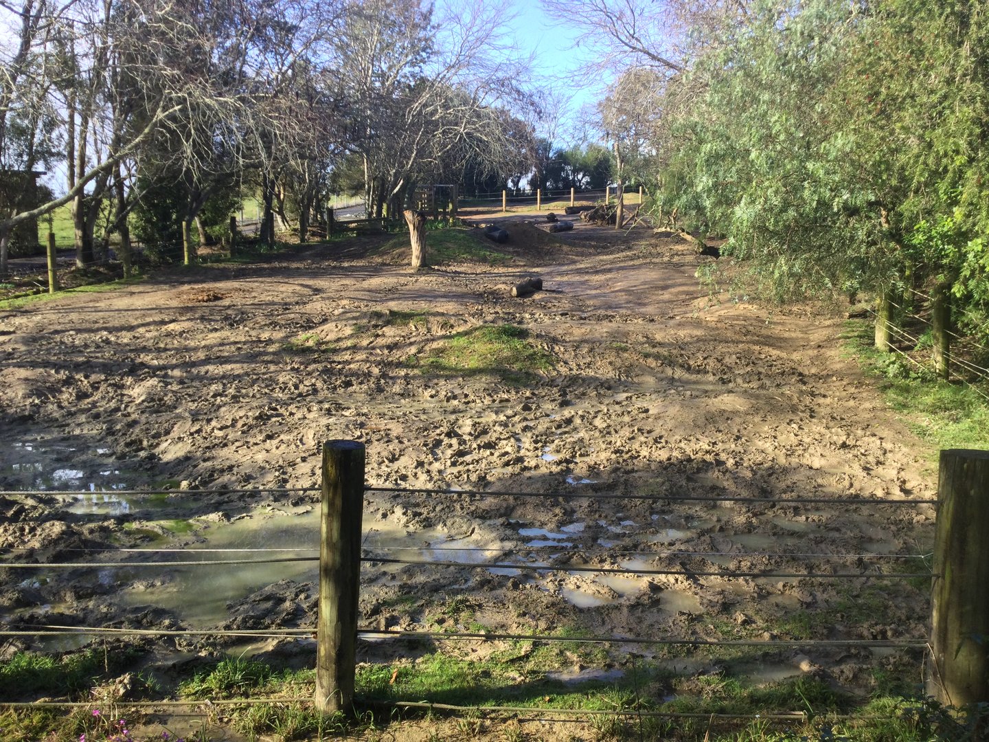 Lower Paddock - Southern White Rhinoceros Exhibit