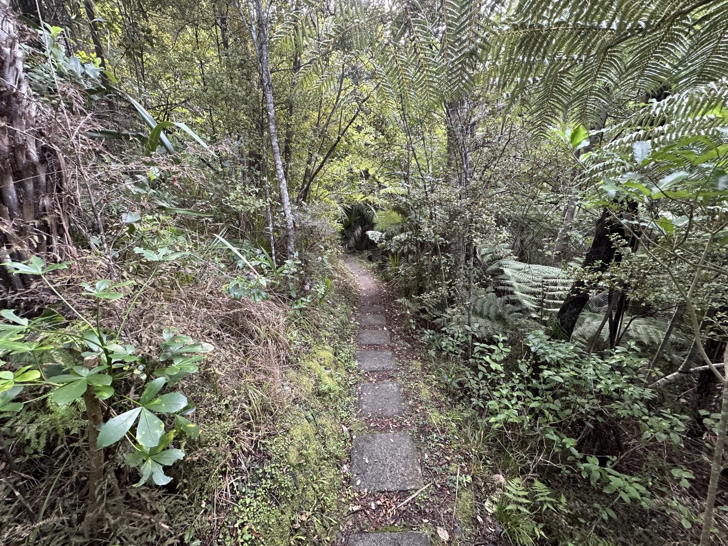 Lower Park Track (Continues)