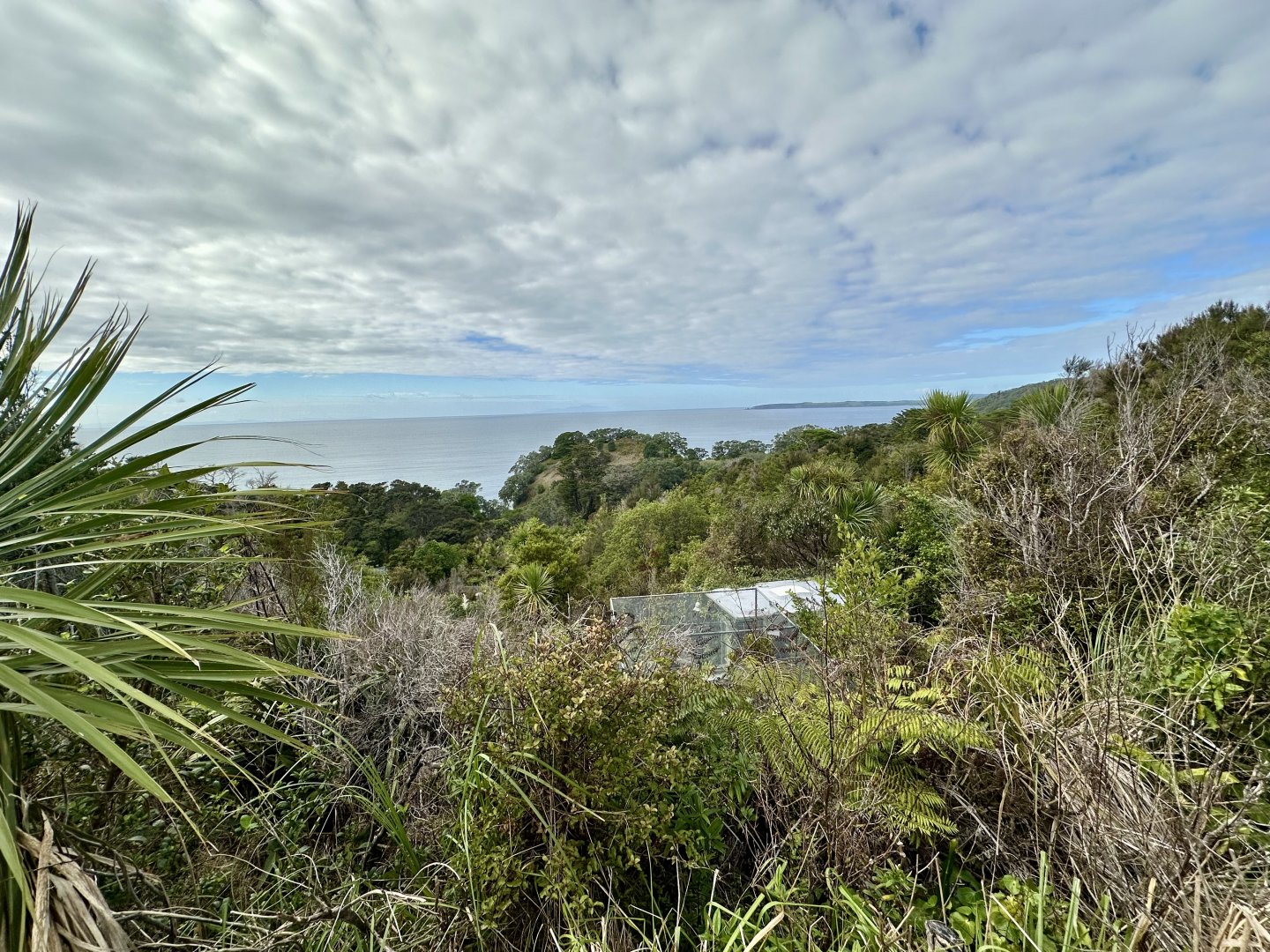 Lower Park Track (Ocean View)