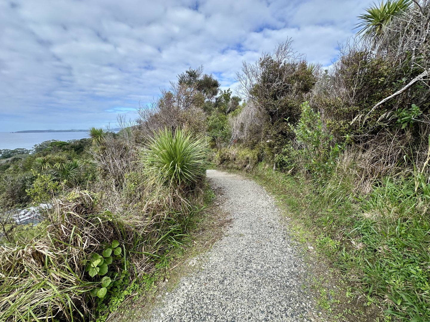 Lower Park Track (Start)
