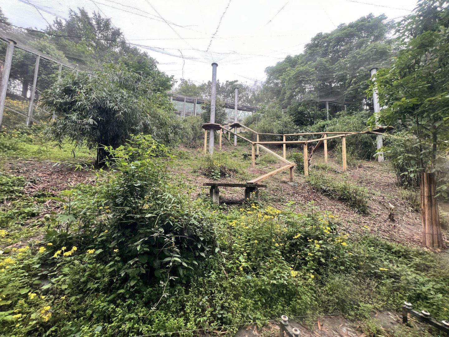 Lower Part of Jaguar Exhibit