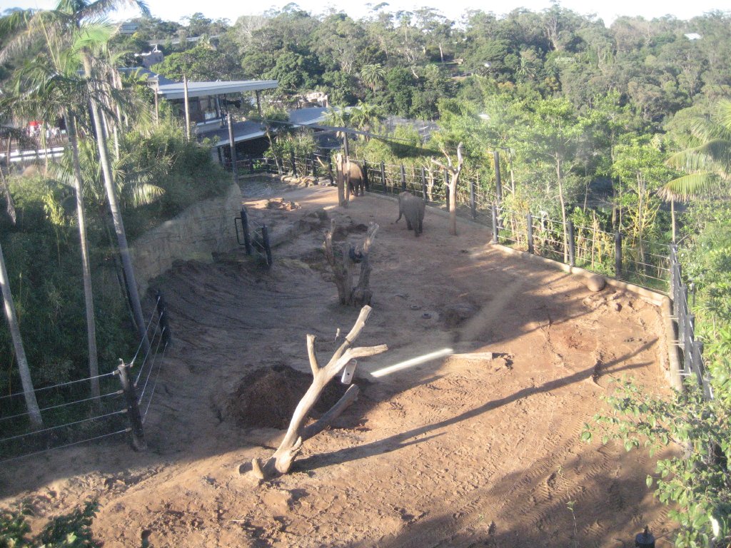 Lower part of the ASian Elephant enclosure