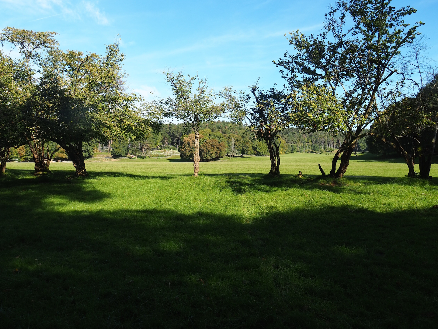 Lower part of the wildlife park - Large mixed paddock in the Lesse Valley, 2023-09-26