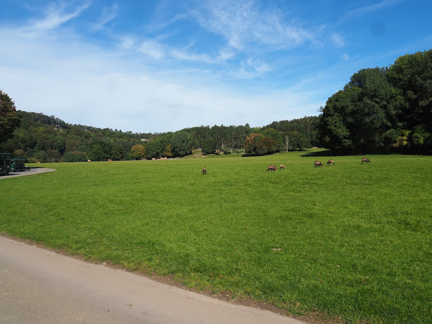 Lower part of the wildlife park - Large mixed paddock in the Lesse Valley, 2023-09-26