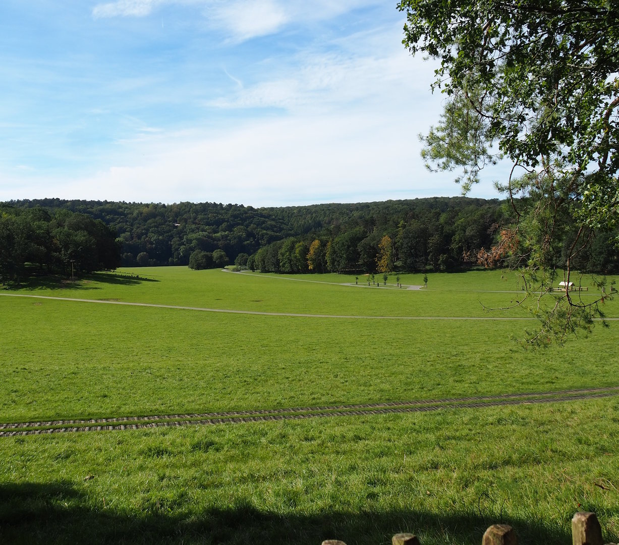 Lower part of the wildlife park - Large mixed paddock in the Lesse Valley, 2023-09-26